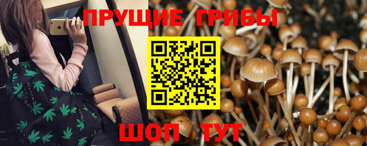 Псилоцибиновые грибы GOLDEN TEACHER  Вход с VPN  Надым 